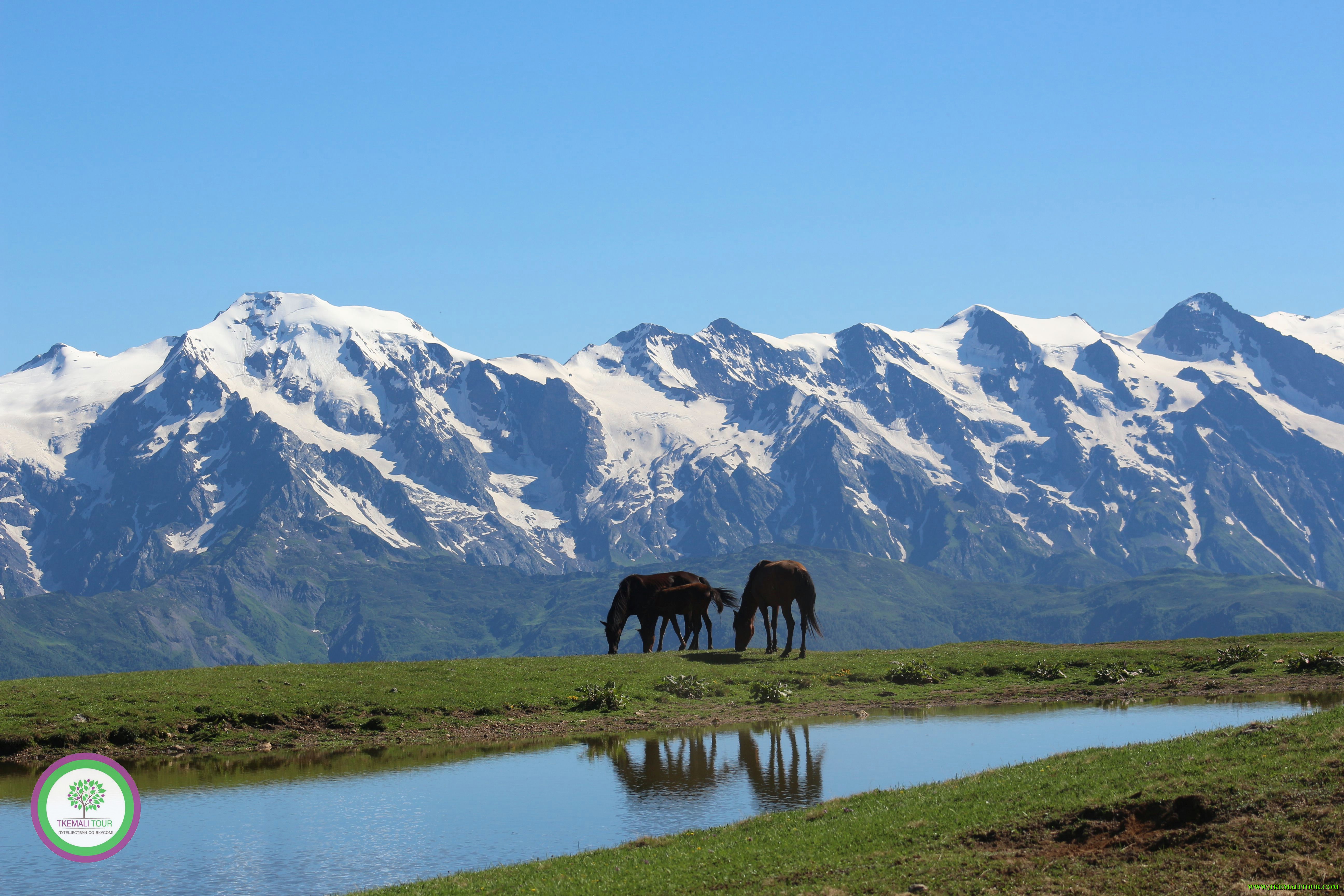 Удобный поиск горящих туров в . Svanetiya