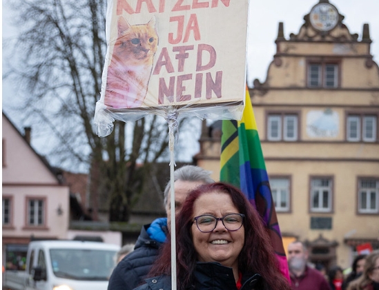 Nächste AfD-Kandidaten von Wahl ausgeschlossen