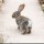 Following a Rabbit