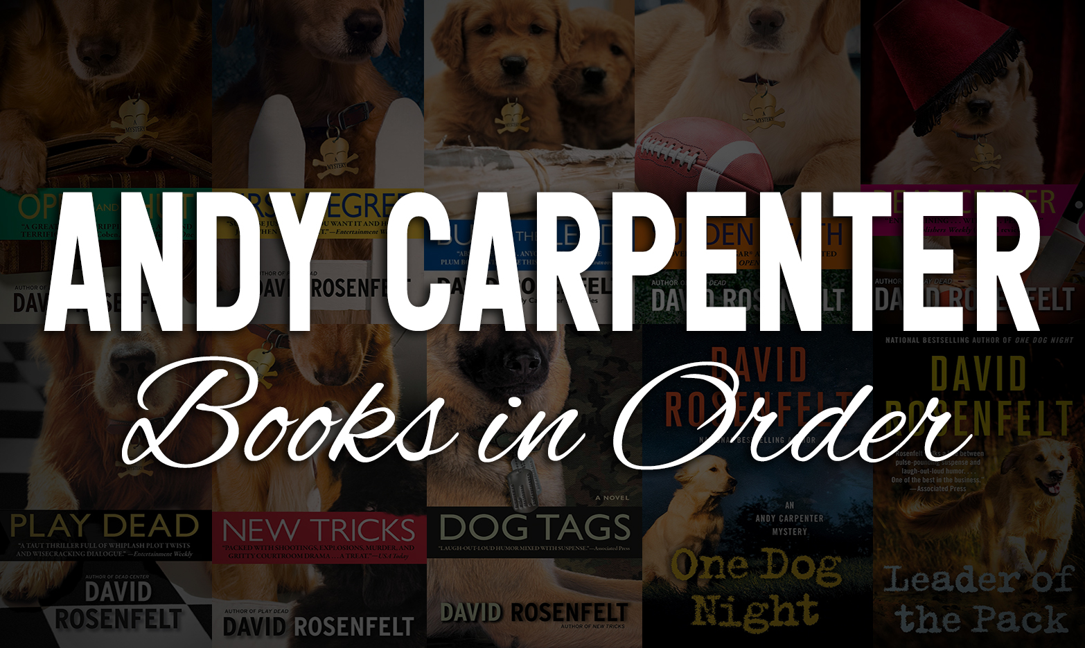 Andy Carpenter Books in Order: Publication & Chronological Guide