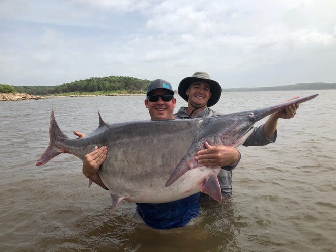 World Record Paddlefish Caught Near Tulsa Oklahoma Tlo Outdoors