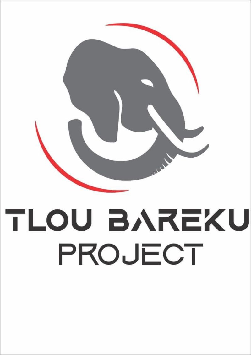 Github Eidsonsa Tlou Overview - Download Creative Ocean Texture | 8K