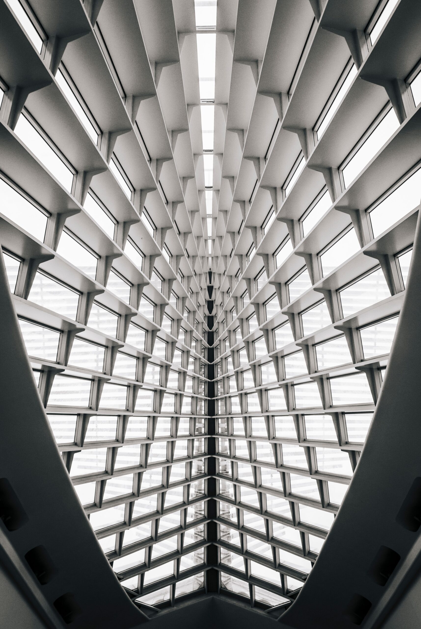 La luz también construye