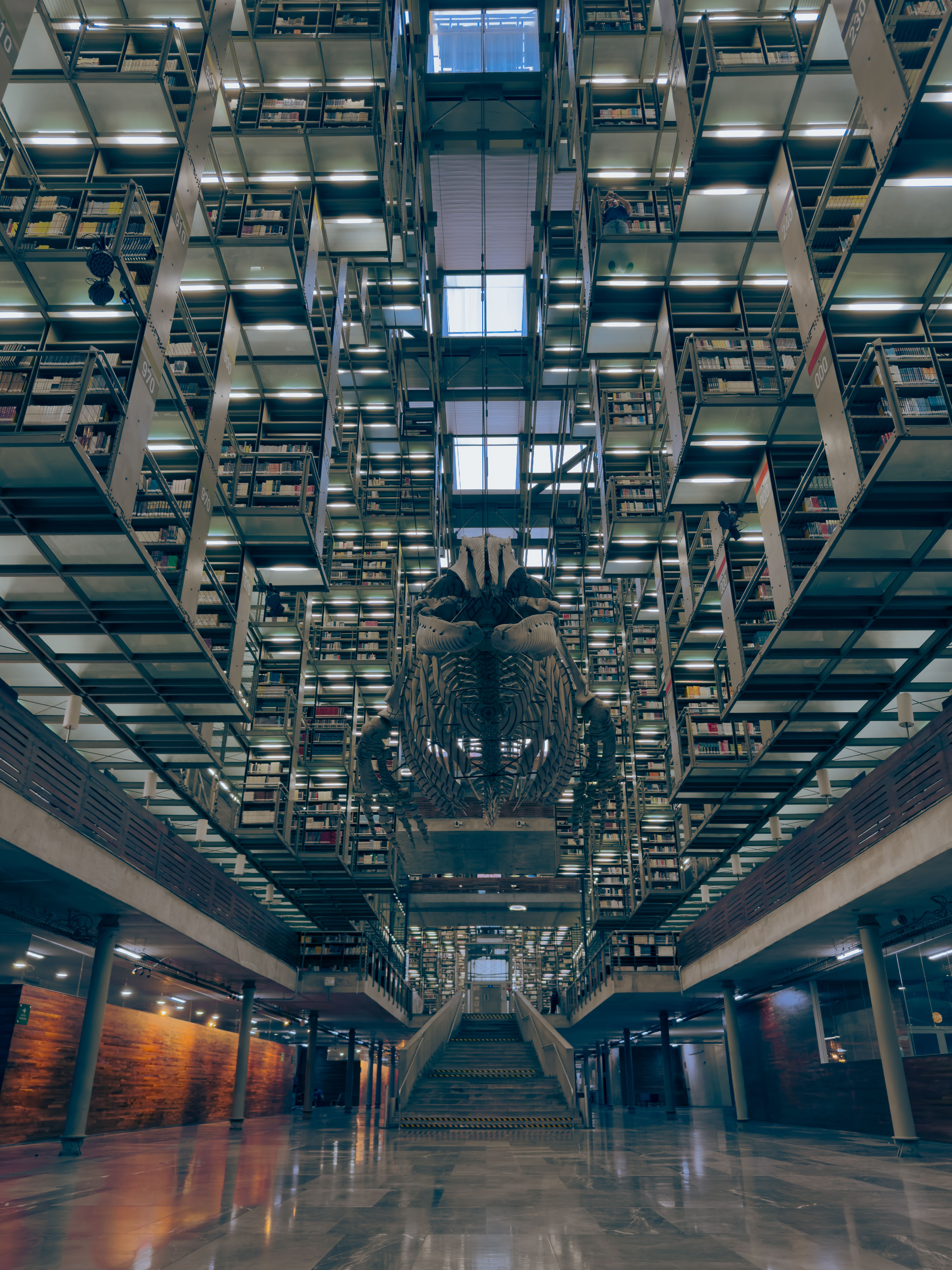Bibliotecas: una forma de habitar el conocimiento