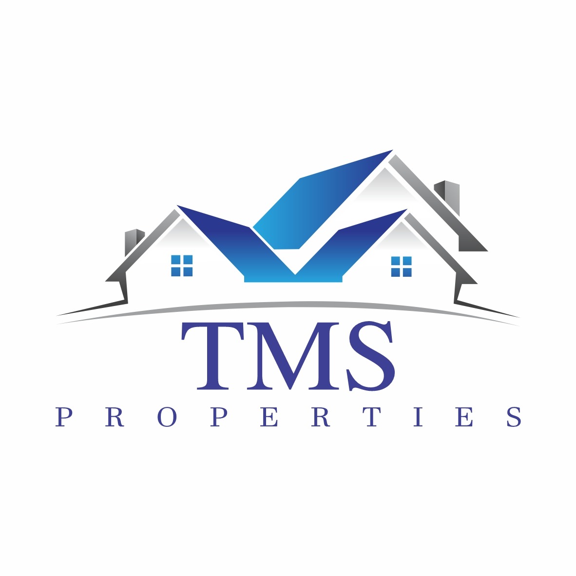 TMS PROPERTIES Titanium Marketing Solution