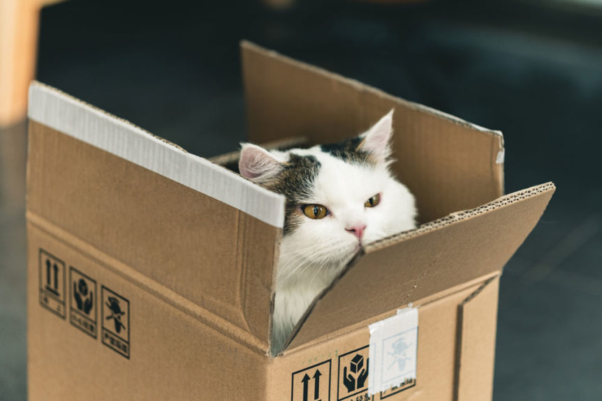 Moving boxes near me