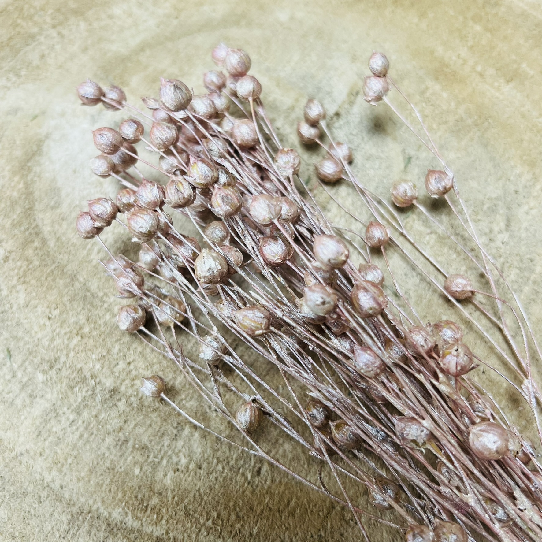 Droogbloemen linum pearly pink 20g.