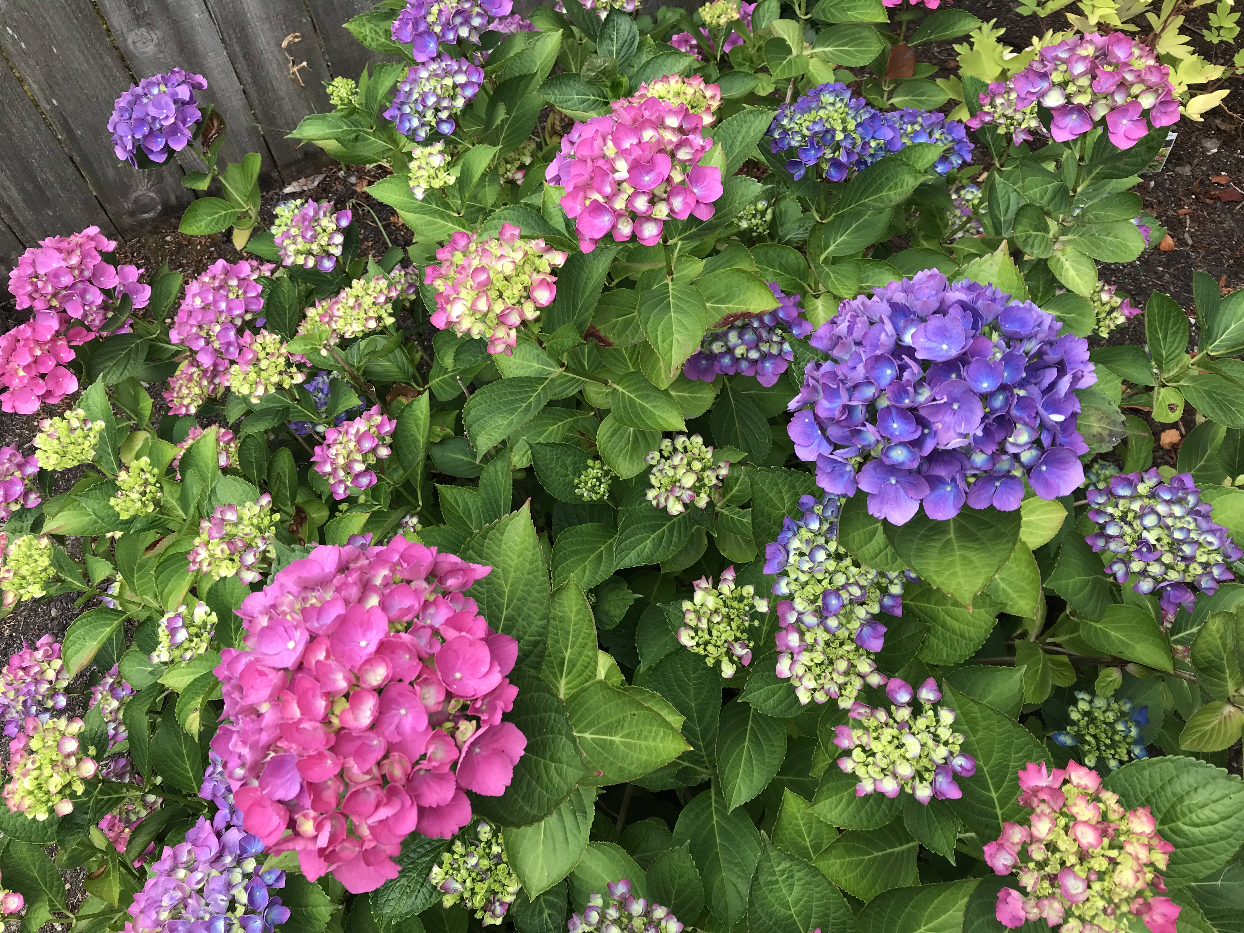 Summer Is Waiting