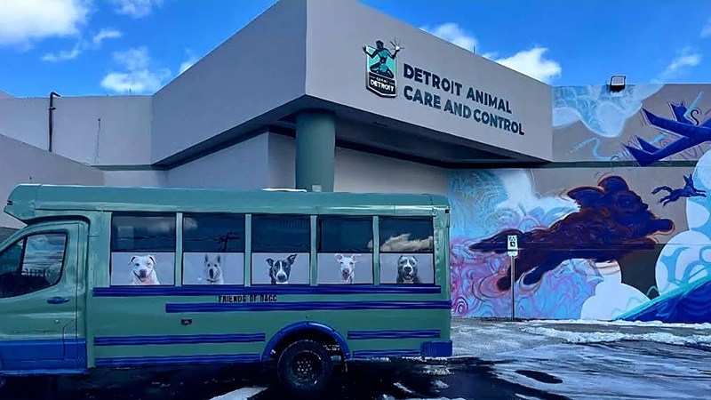An animal cruelty investigation adds to this week's Detroit crime updates.