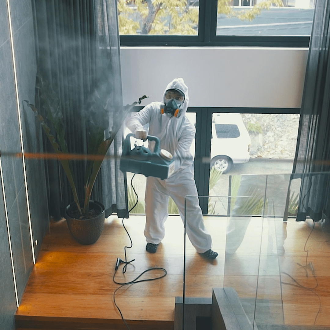 pest control methods, Top Notch Pest Control