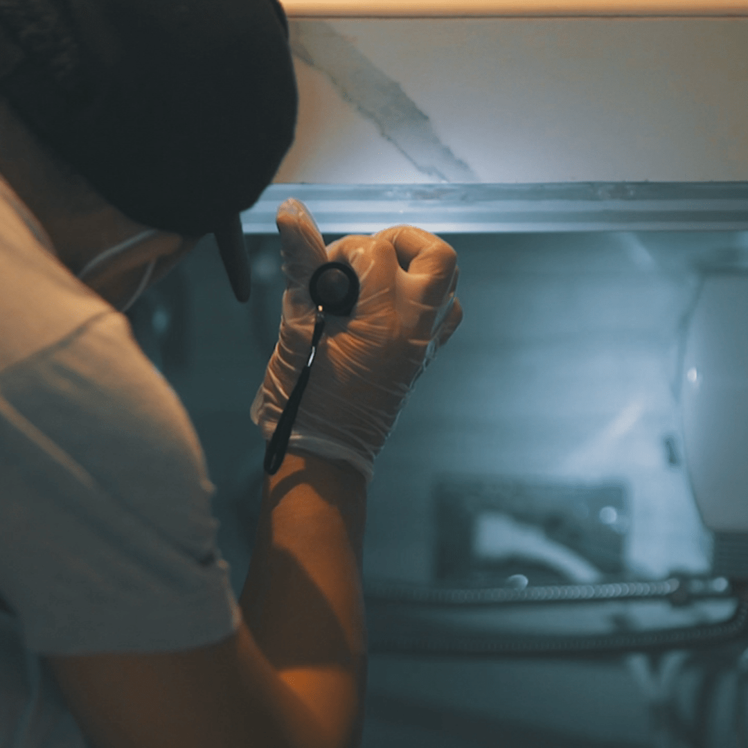 pest control methods, Top Notch Pest Control