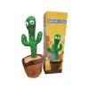 Dancing Cactus Toy