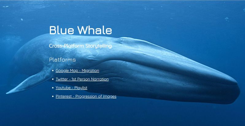 Michelle Wang Github Pages - Download Professional Sunset Art | Mobile