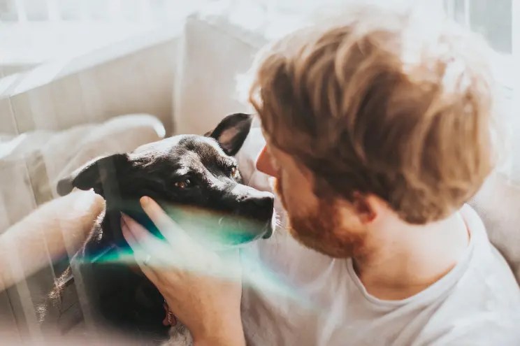 Coping with pet loss grief