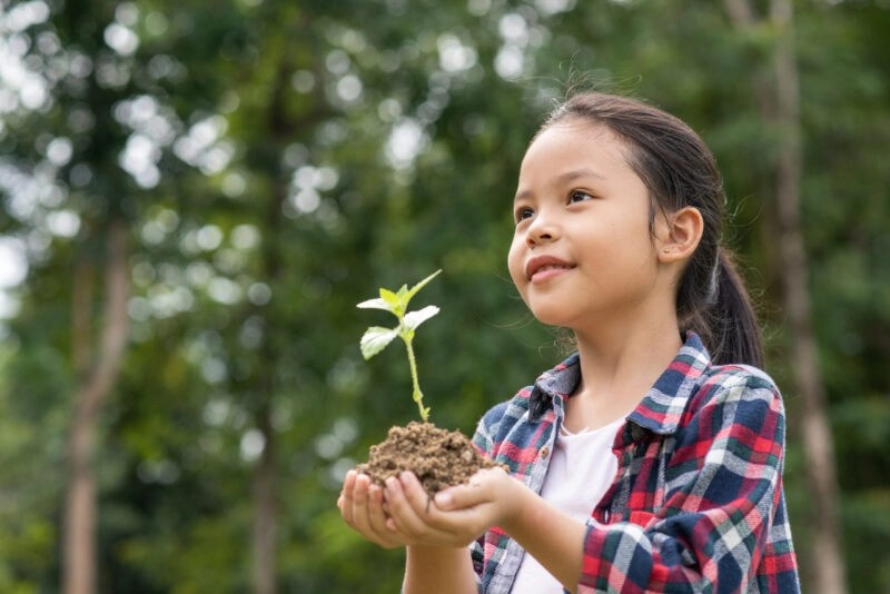 Embracing Environmental Responsibility in Kitchen Affiliate Programs