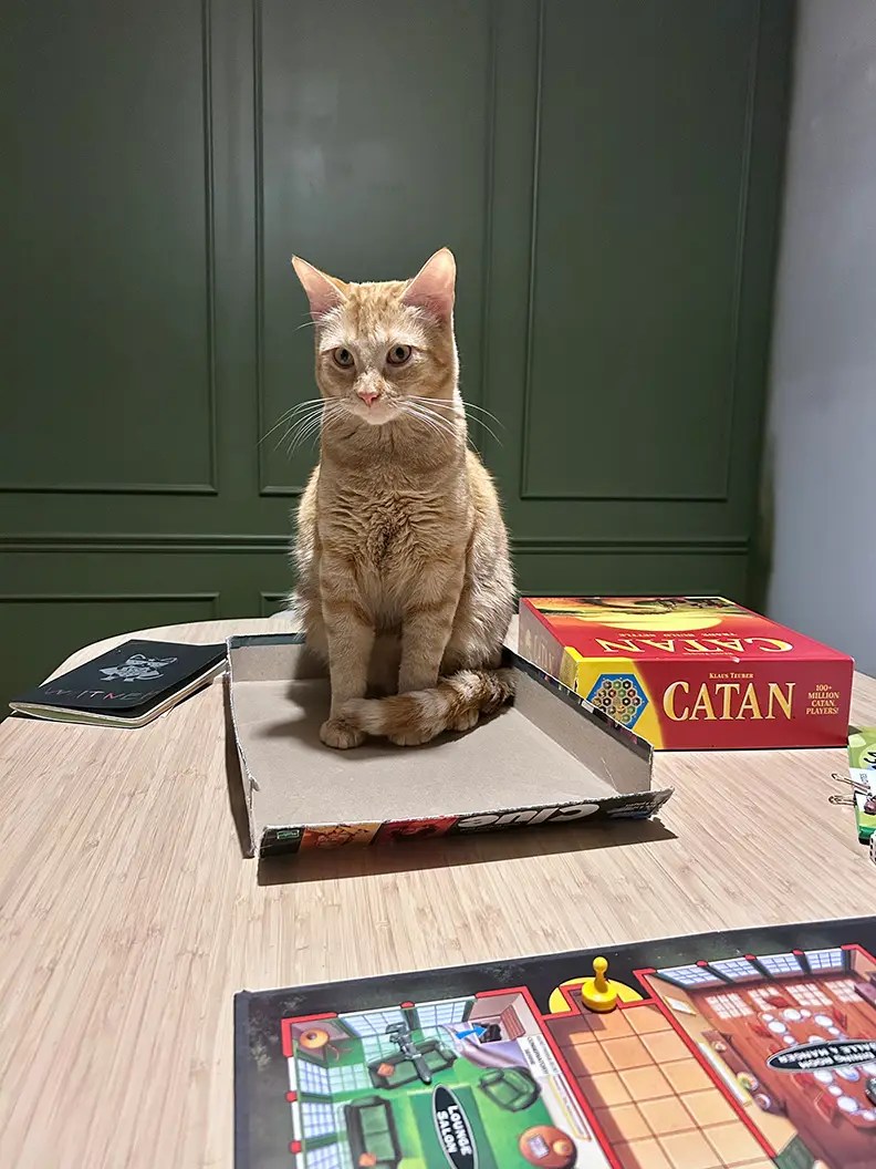 First Friday Favourites - April 2025