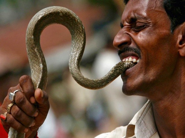 snake eater