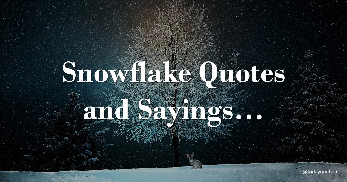snowflake quotes