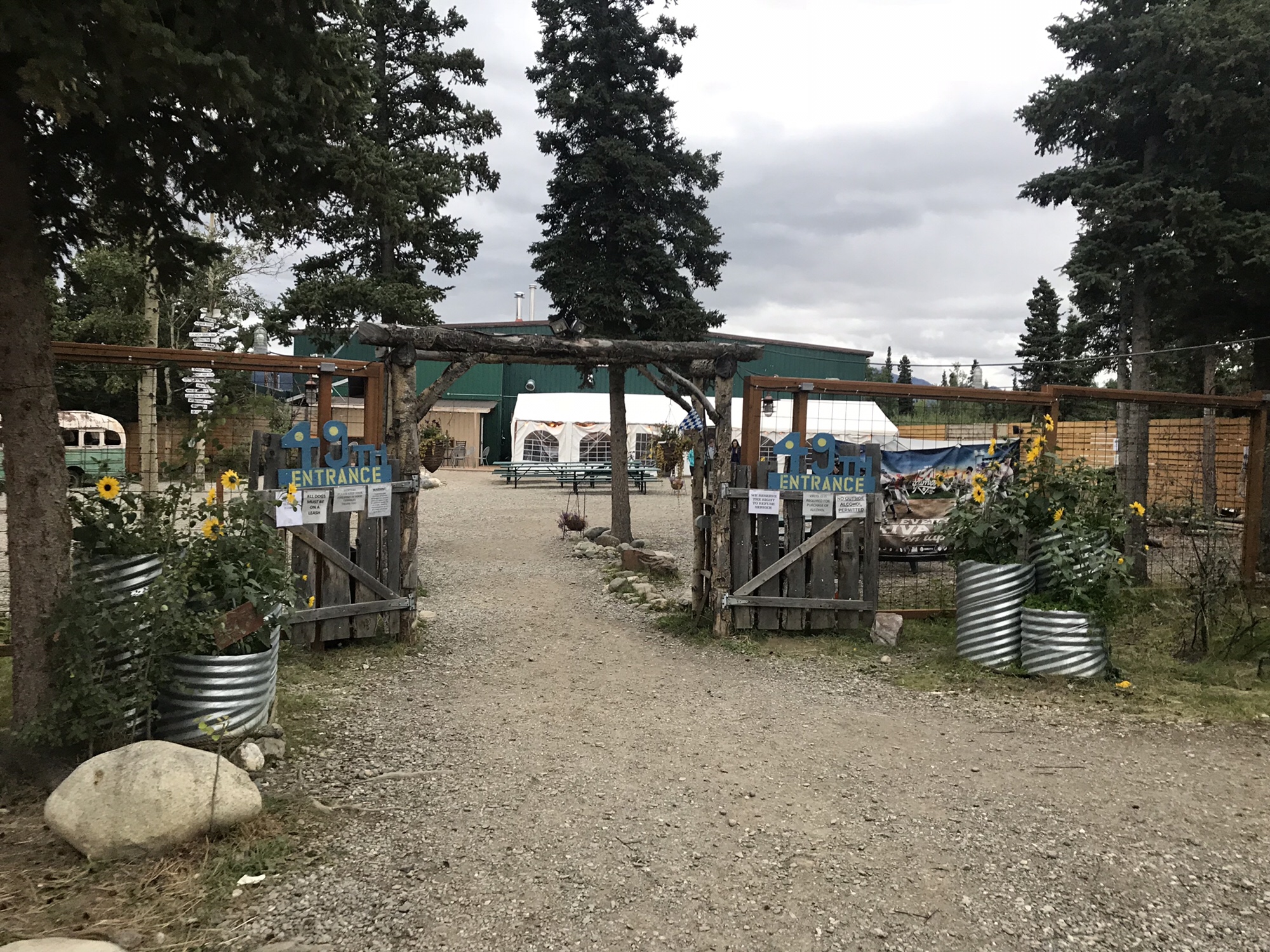 Into the Wild Bar