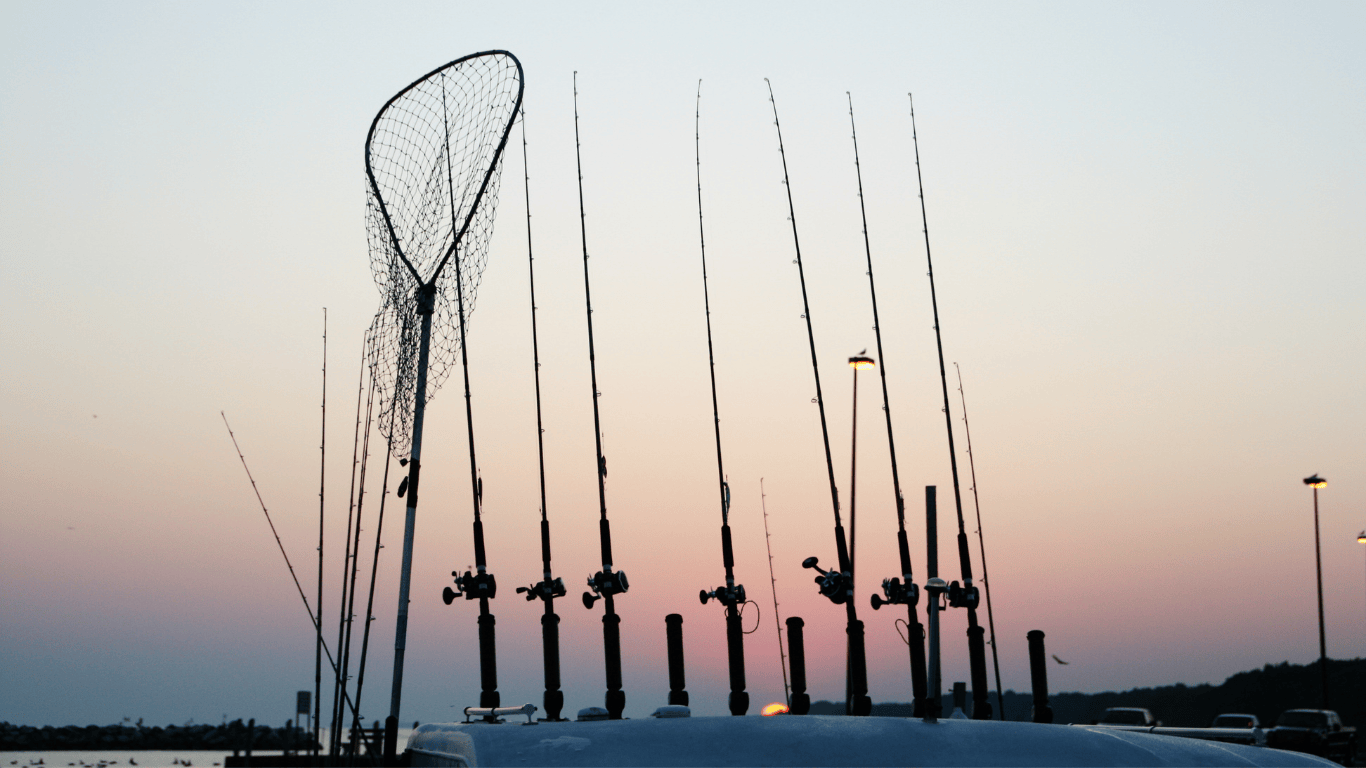 What to Know About The North Florida Coastal Fishing Seasons