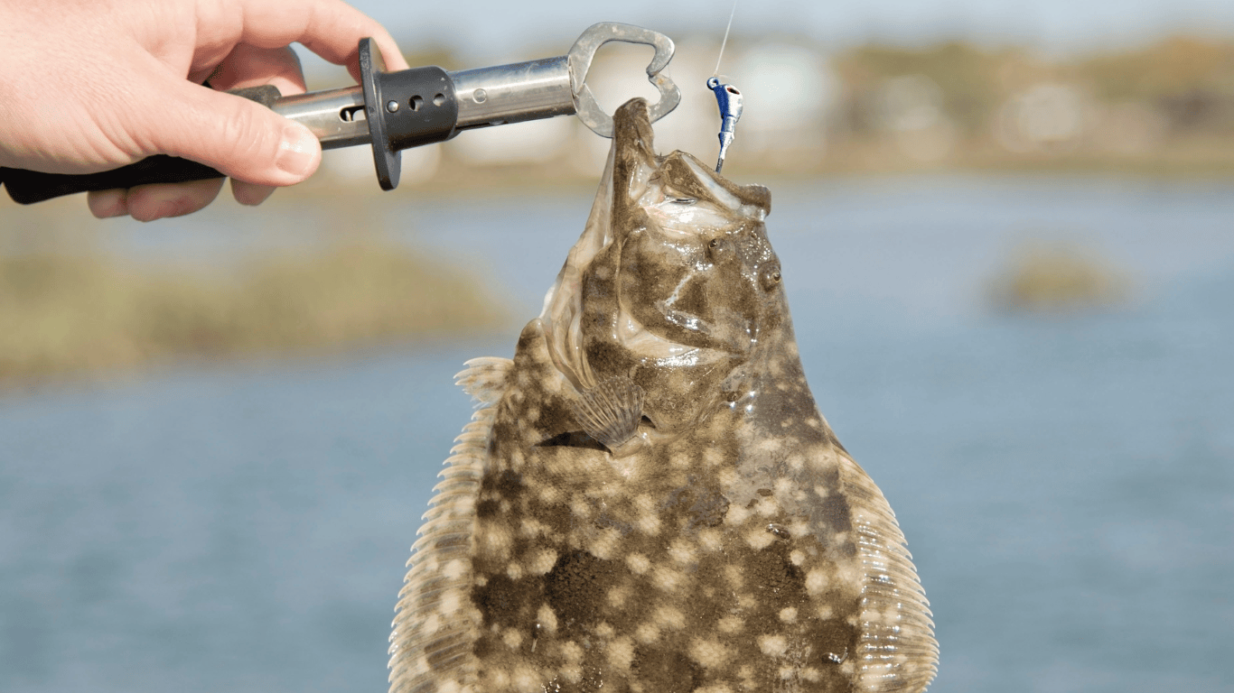 Fishing in St Augustine Florida