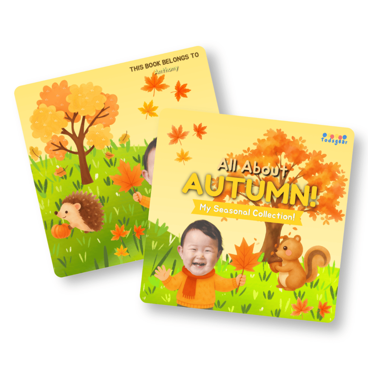 Baby’s First Seasonal Series 寶寶專屬季節系列 - Image 4