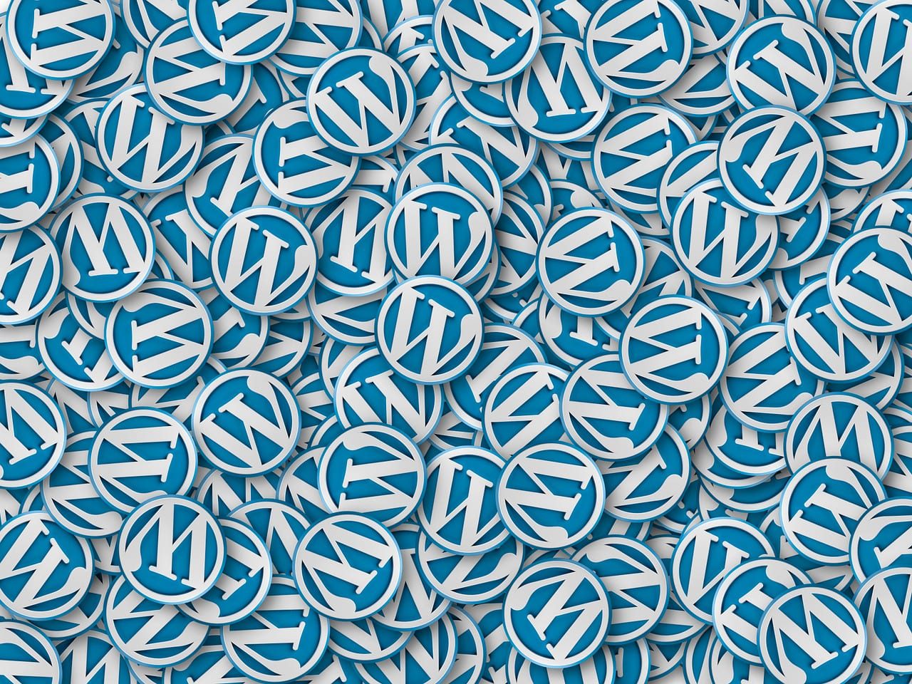 Cara Update Wordpress
