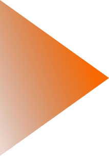 Polygon 19