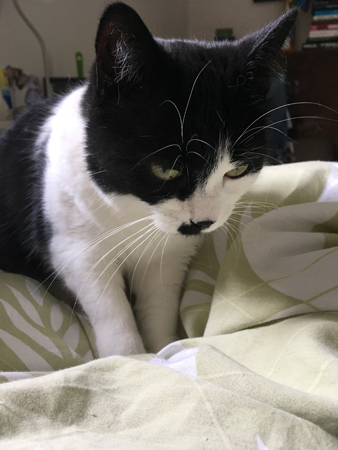 Mini ville hänga med de stora tjejerna.