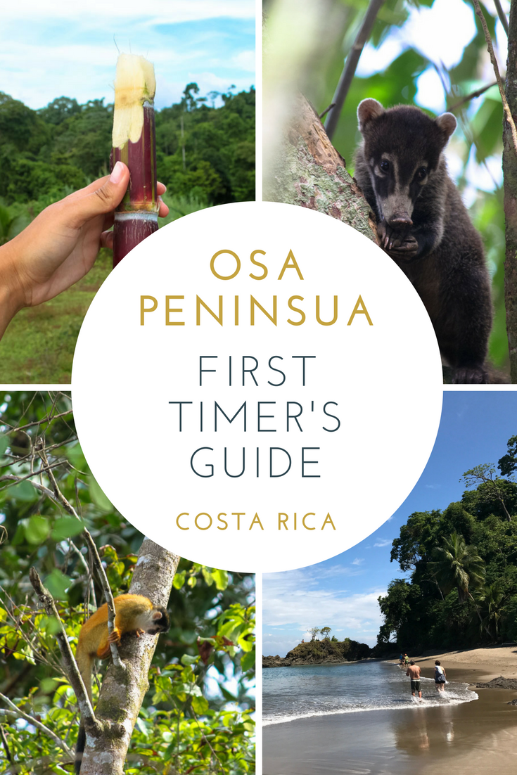 Osa Peninsula Costa Rica - First Timer's Guide