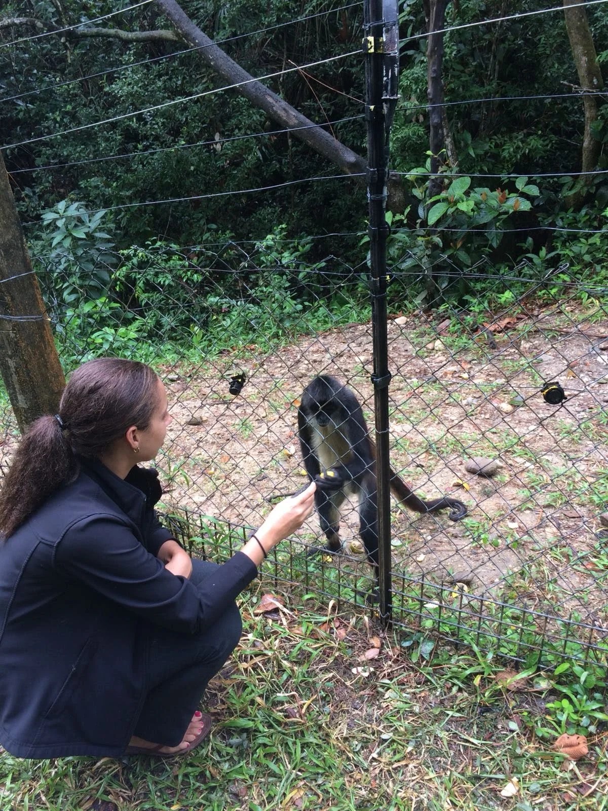  The Belize Zoo - Travel in Belize 