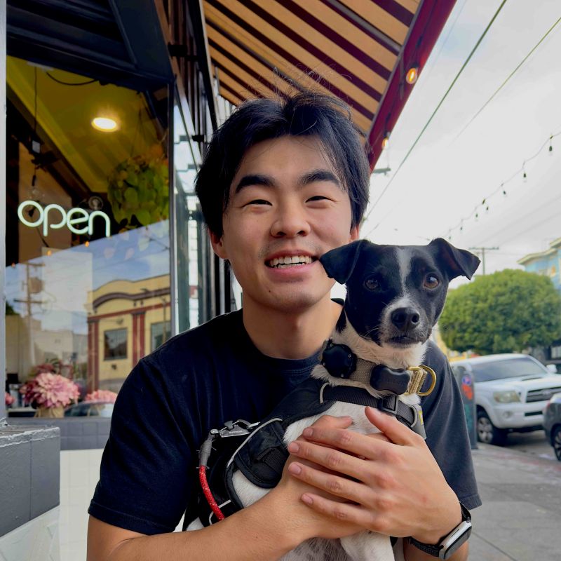 Tonyeffendi Github - Beautiful Desktop Ocean Illustrations | Free Download