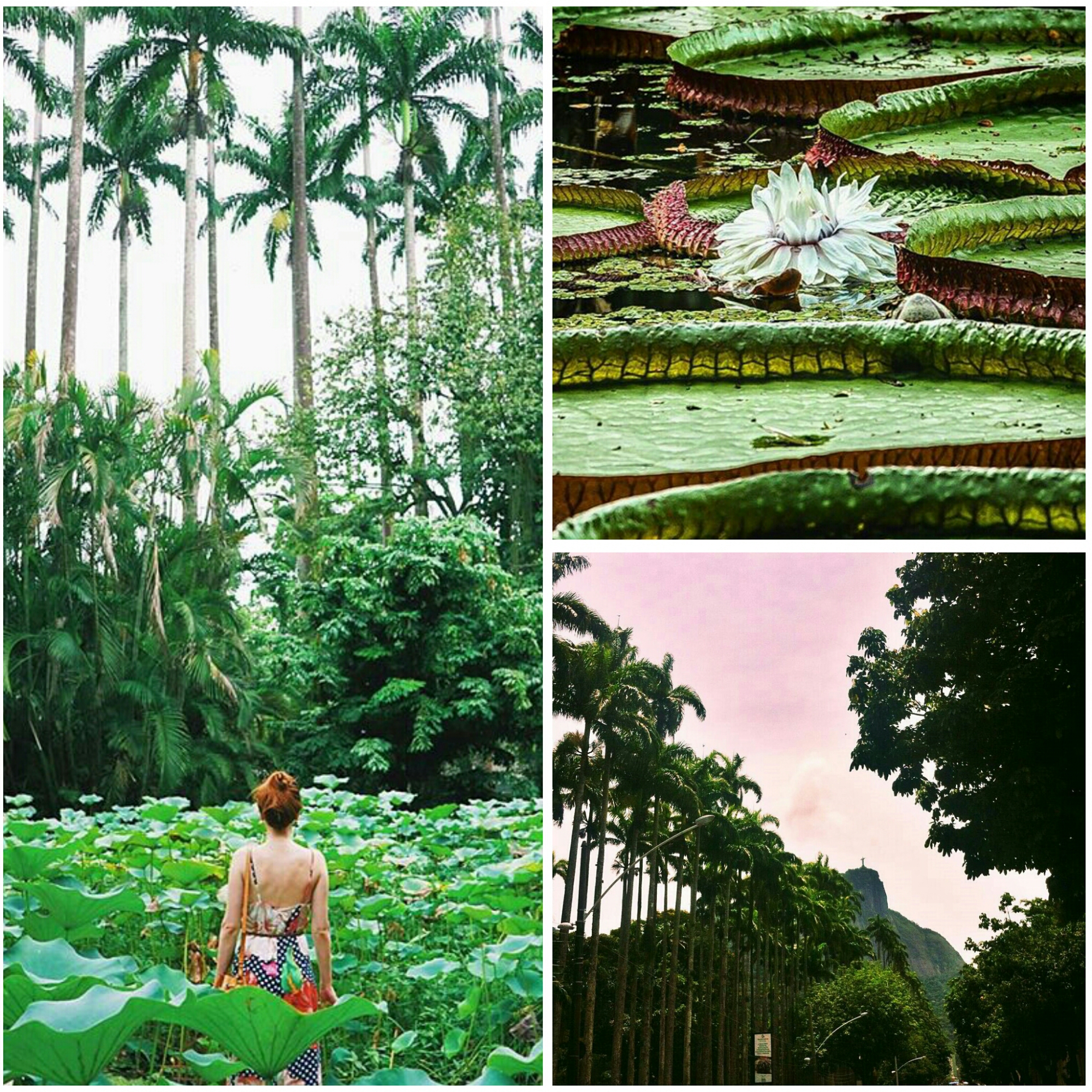 Мы отправимся исследовать побережье на велосипеде. Ekskursii V Rio De Zhanejro Na Russkom Yazyke Guideinrio