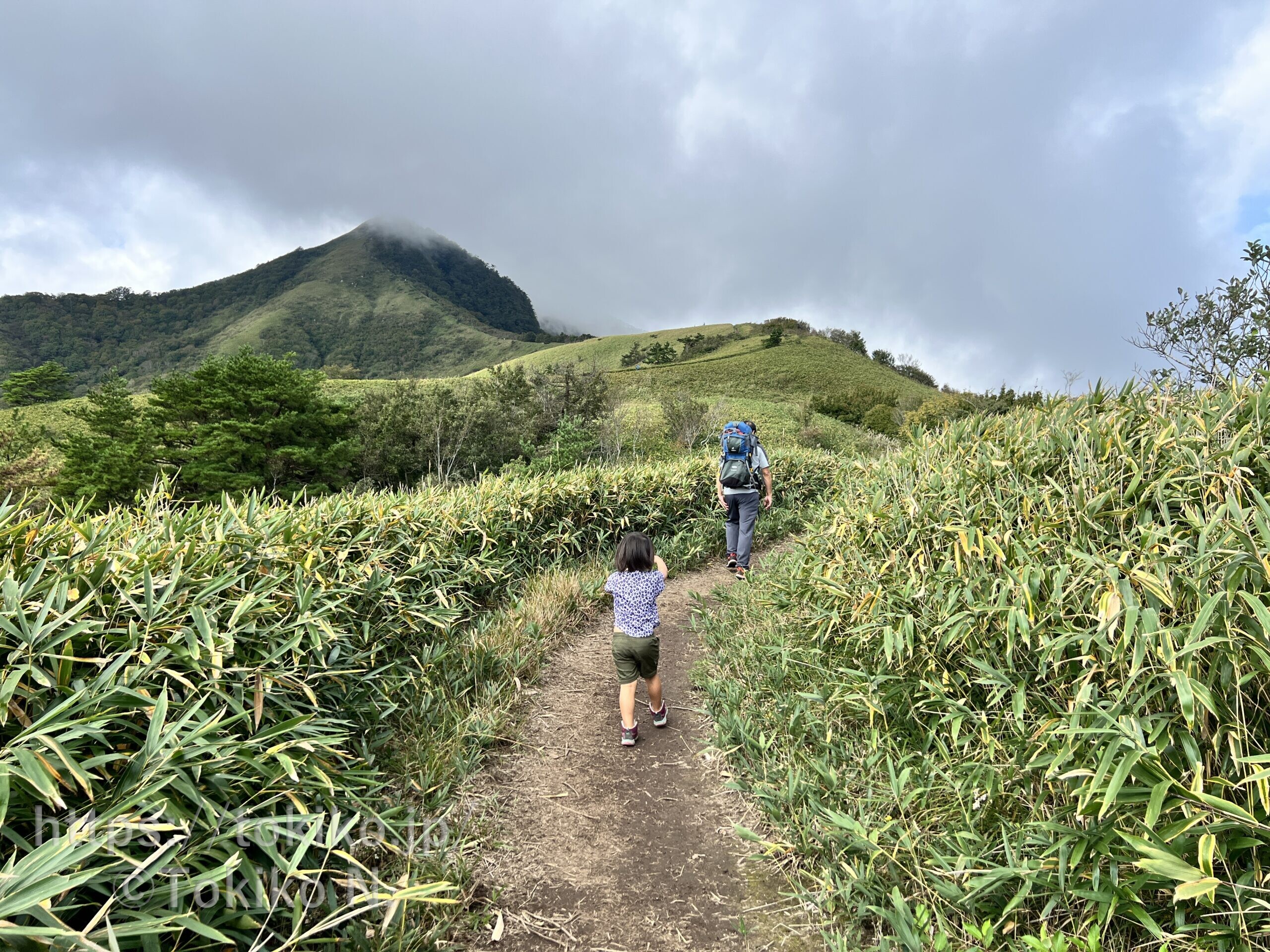 蒜山高原 下蒜山 雲居平 子連れ登山