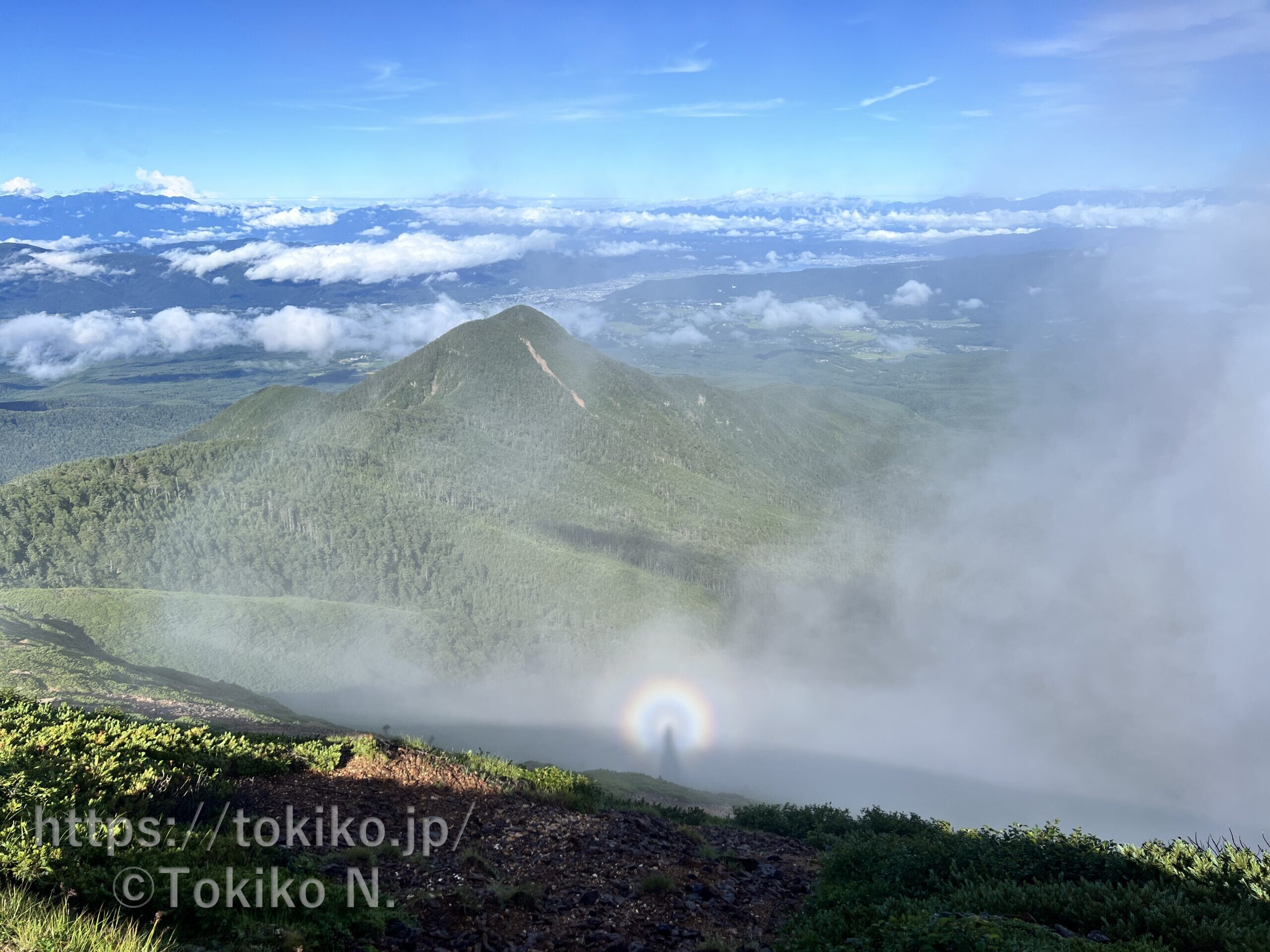 八ヶ岳　峰の松目とブロッケン現象　硫黄への最後の登り