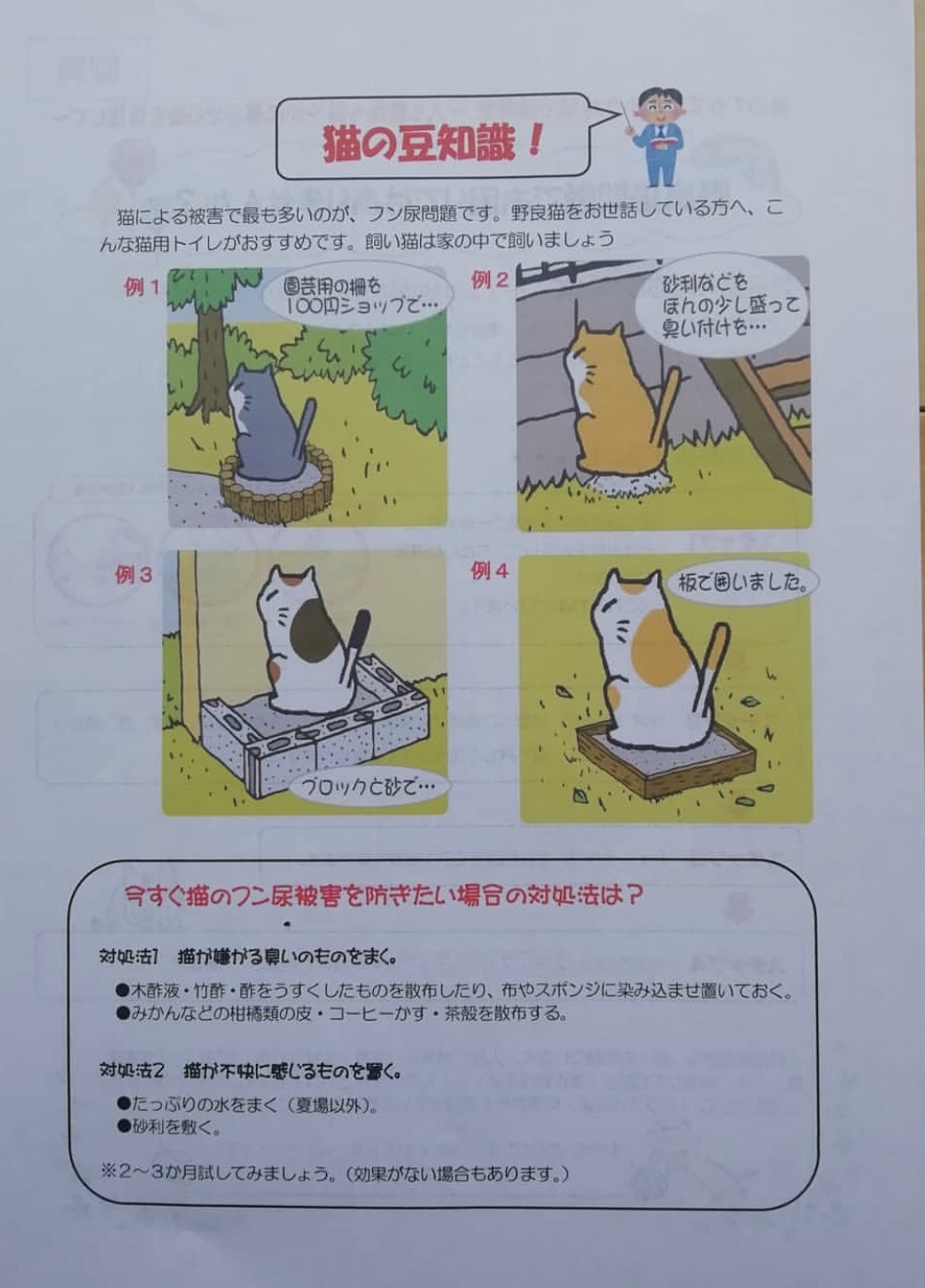 野良猫問題でお困りではありませんか？】 - とこなめ地域ねこの会