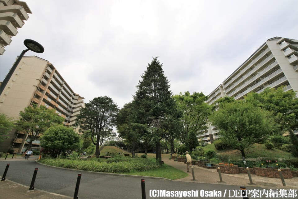 【西東京市】西武線沿線に鎮座する、マンモス団地の始祖「ひばりが丘団地」を訪ねる【東久留米市】 東京DEEP案内 【西東京市】西武線沿線に鎮座する、マンモス団地の始祖「ひばりが丘団地」を訪ねる【東久留米市】 東京DEEP案内