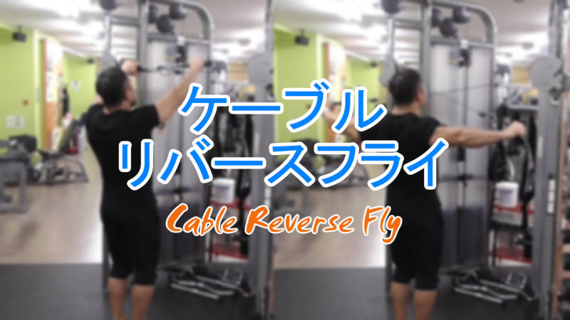 バラフライ＆リバースフライマシン ケーブルリバースフライのやり方！マシンで肩の背面に効果を出す