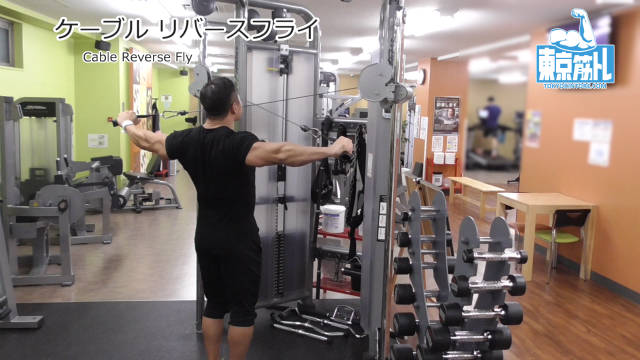 ケーブルリバースフライのやり方！マシンで肩の背面に効果を出す