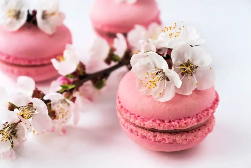 A pink macaron on a sakura menu.