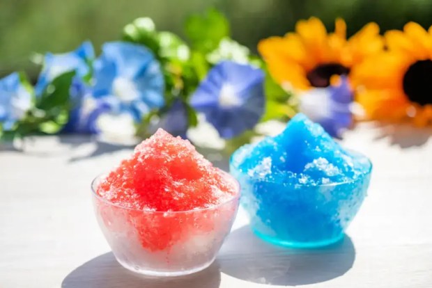 Two bowls of kakigori (shaved ice) one of the best Japanese doods ever!