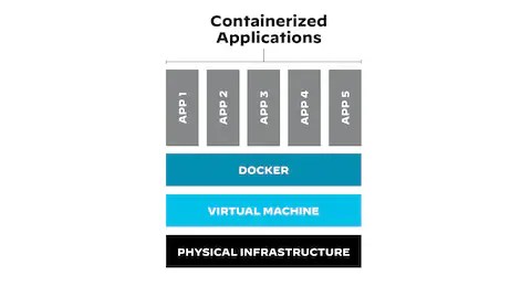 Application Client Container- Containerized Application