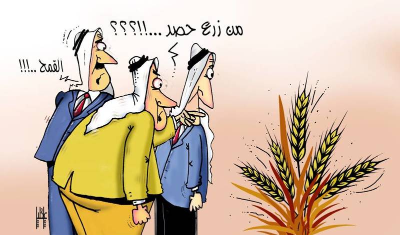 من زرع حصد - توميتو كرتون