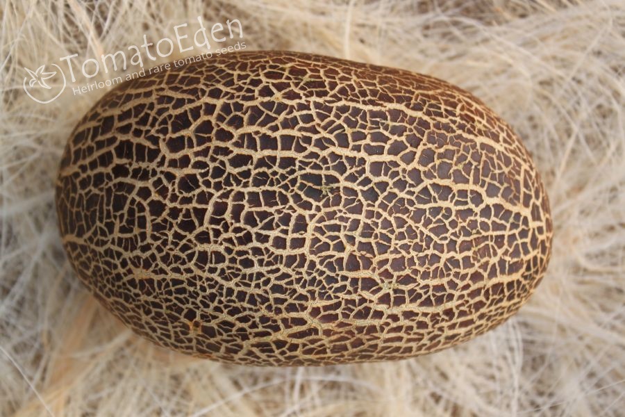 সম্পর্কিত ছবি