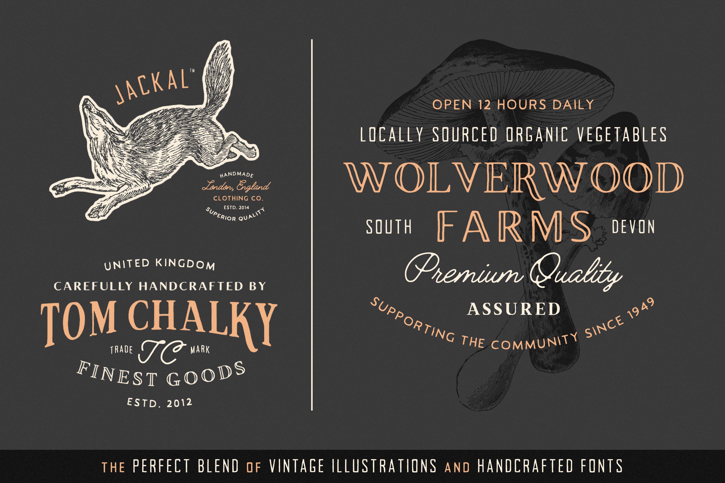 Enterprises are looking for ways to capitalize on data to improve business agility. Vintage Fonts Pack Tom Chalky