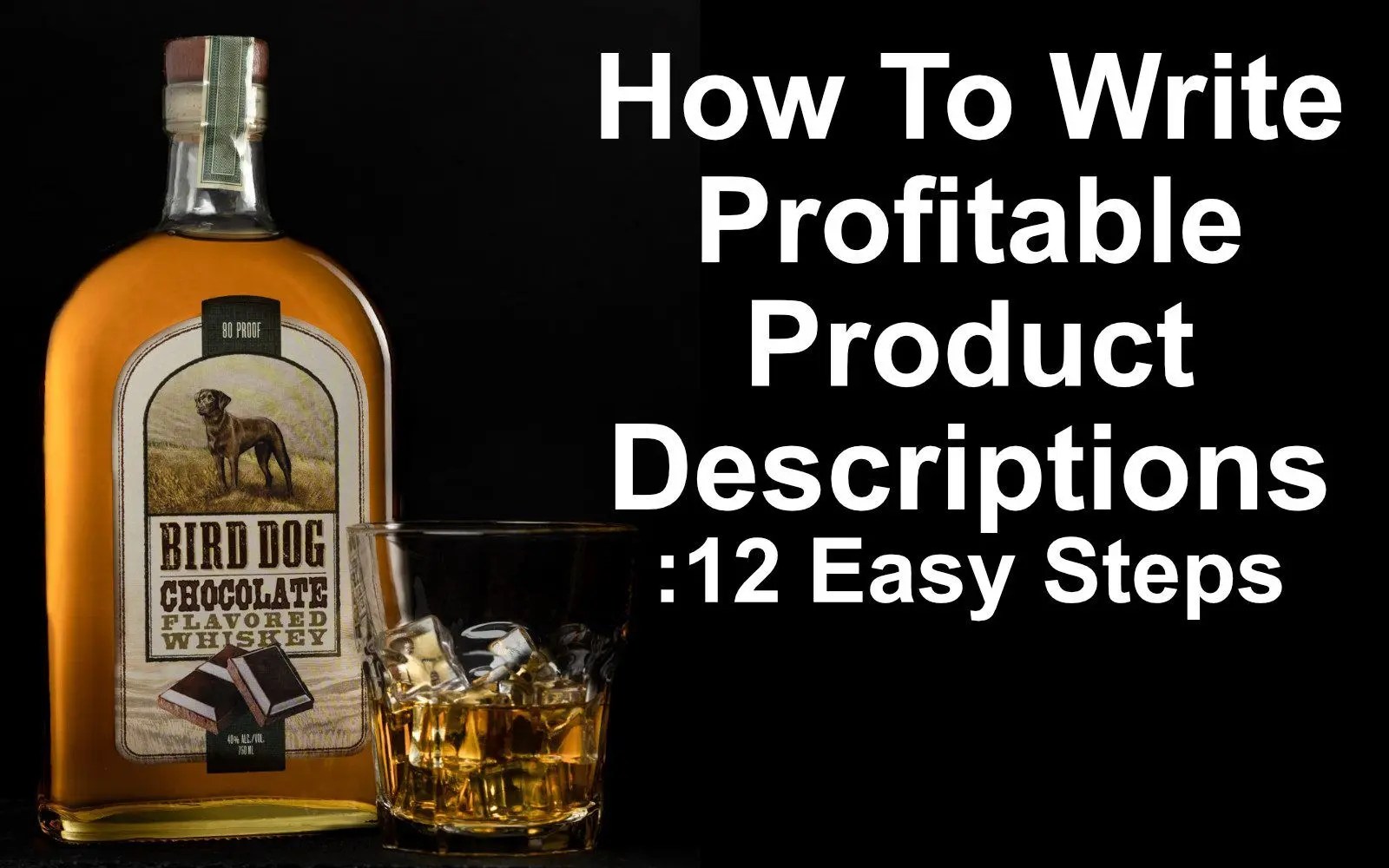 how to write profitable product descriptions blog feature image