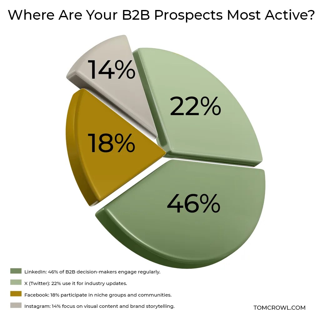 B2B Social Media Platform Infographic
