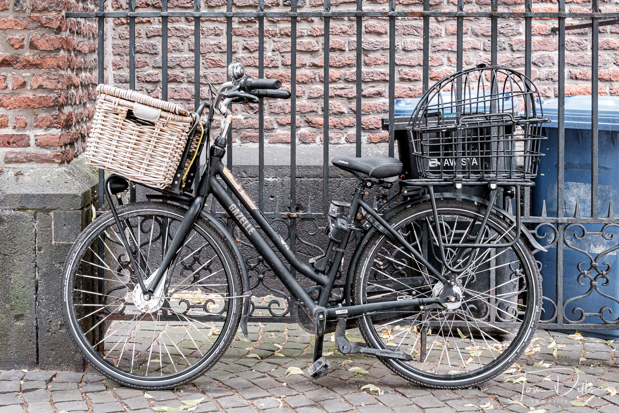 Bicycles of all kinds in Dusseldorf, Germany
