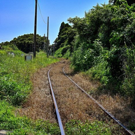 池田湖の黄金鳥居（池田湖Ⅰ）