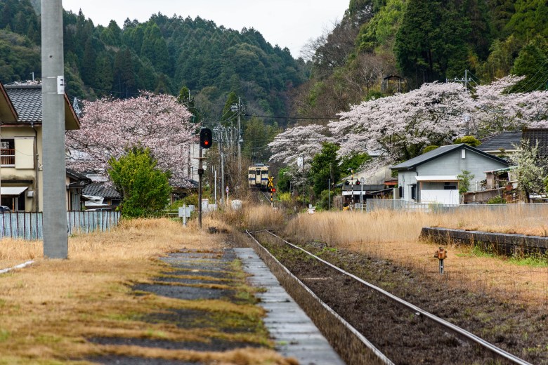 下り列車が見えてきました。